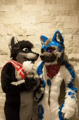 IMG_1704-lr19t.jpg of FWA/FWA2019/