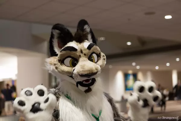 IMG_1811-lr19t.jpg of FWA/FWA2019/