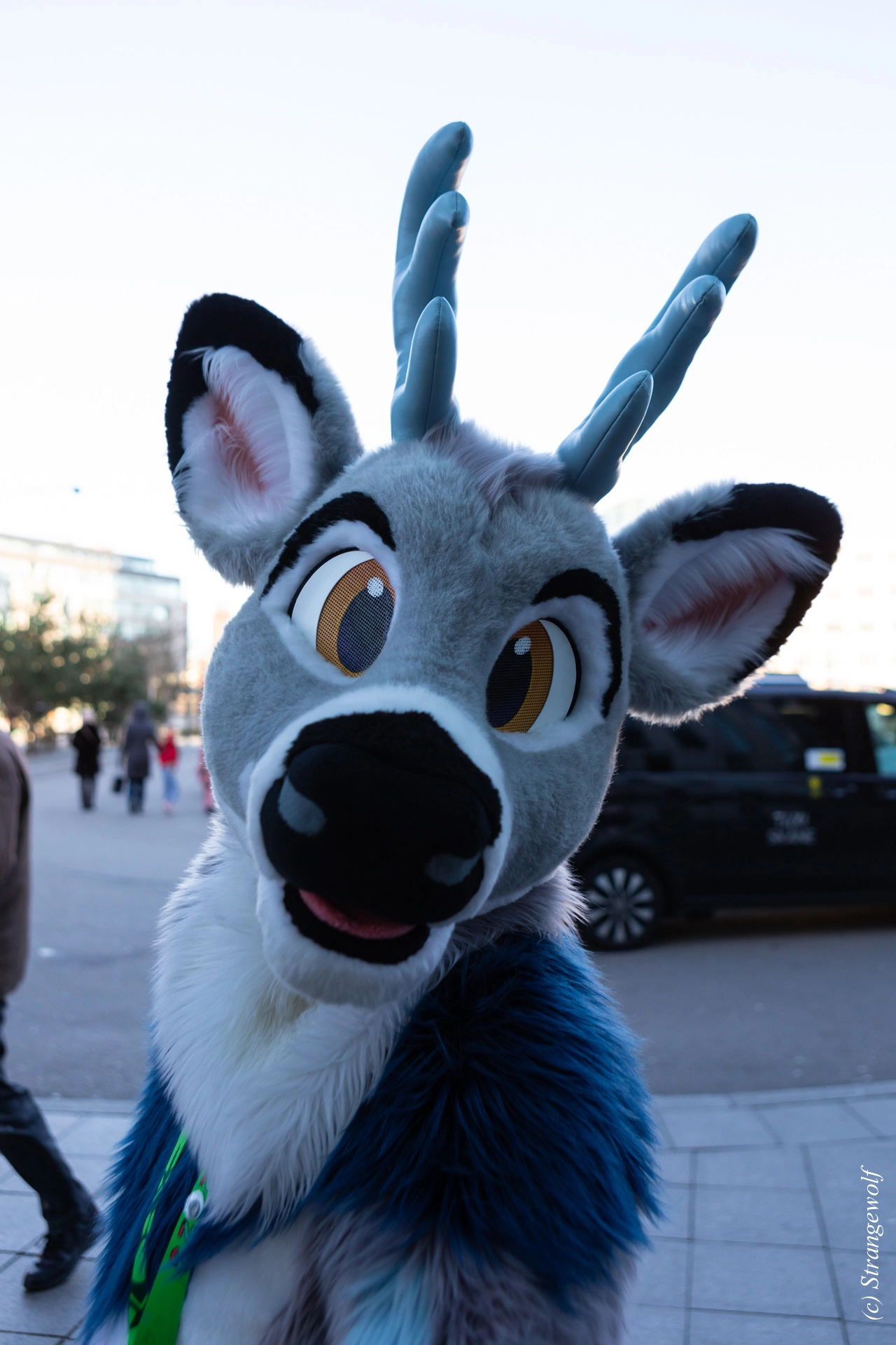 full image 1R3A9836-lr19t.jpg