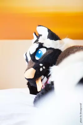 IMG_6067-lr.jpg of FWA/FWA2016/Photoshoot-Yuki/