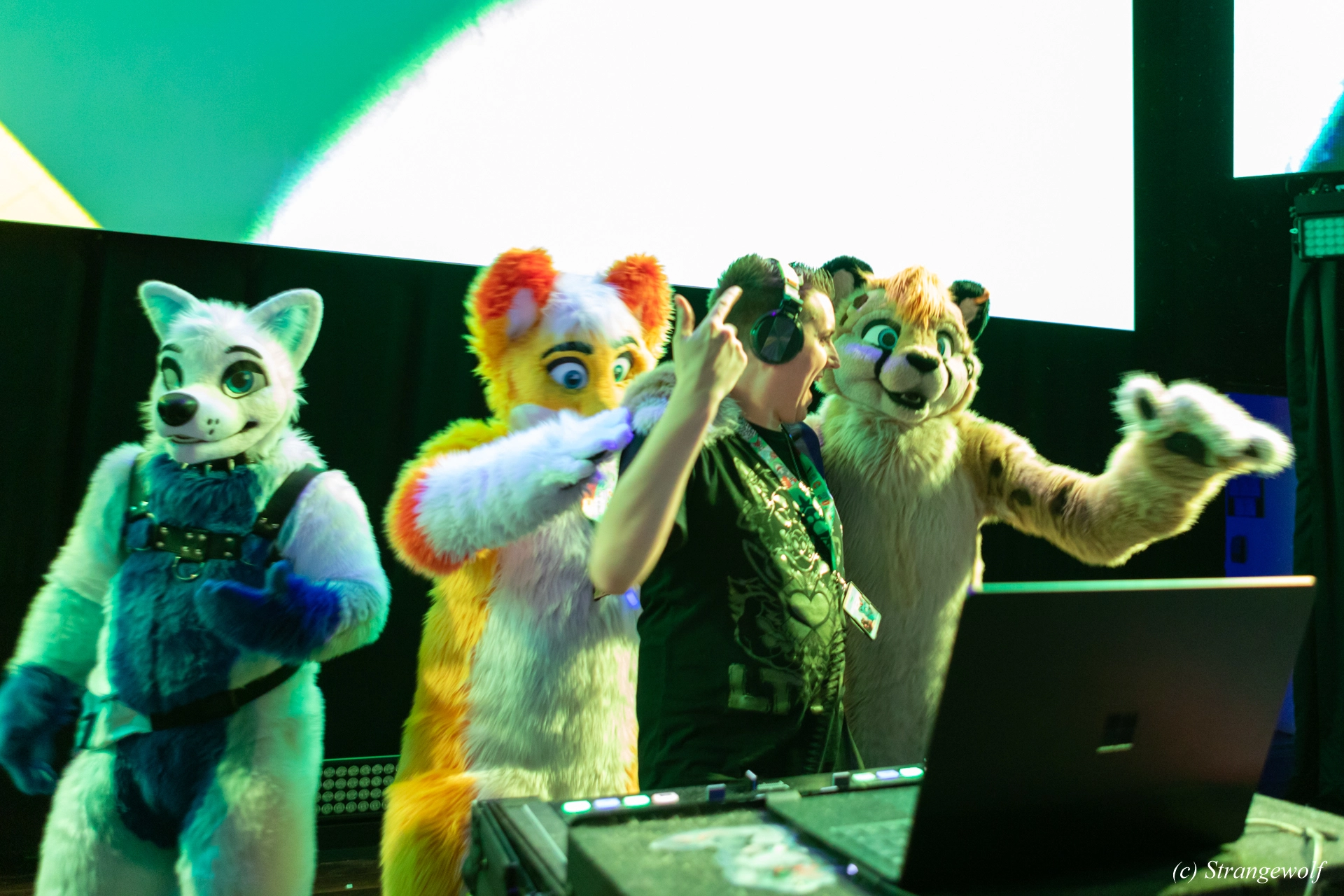 full image 1R3A9595-lr19t.jpg