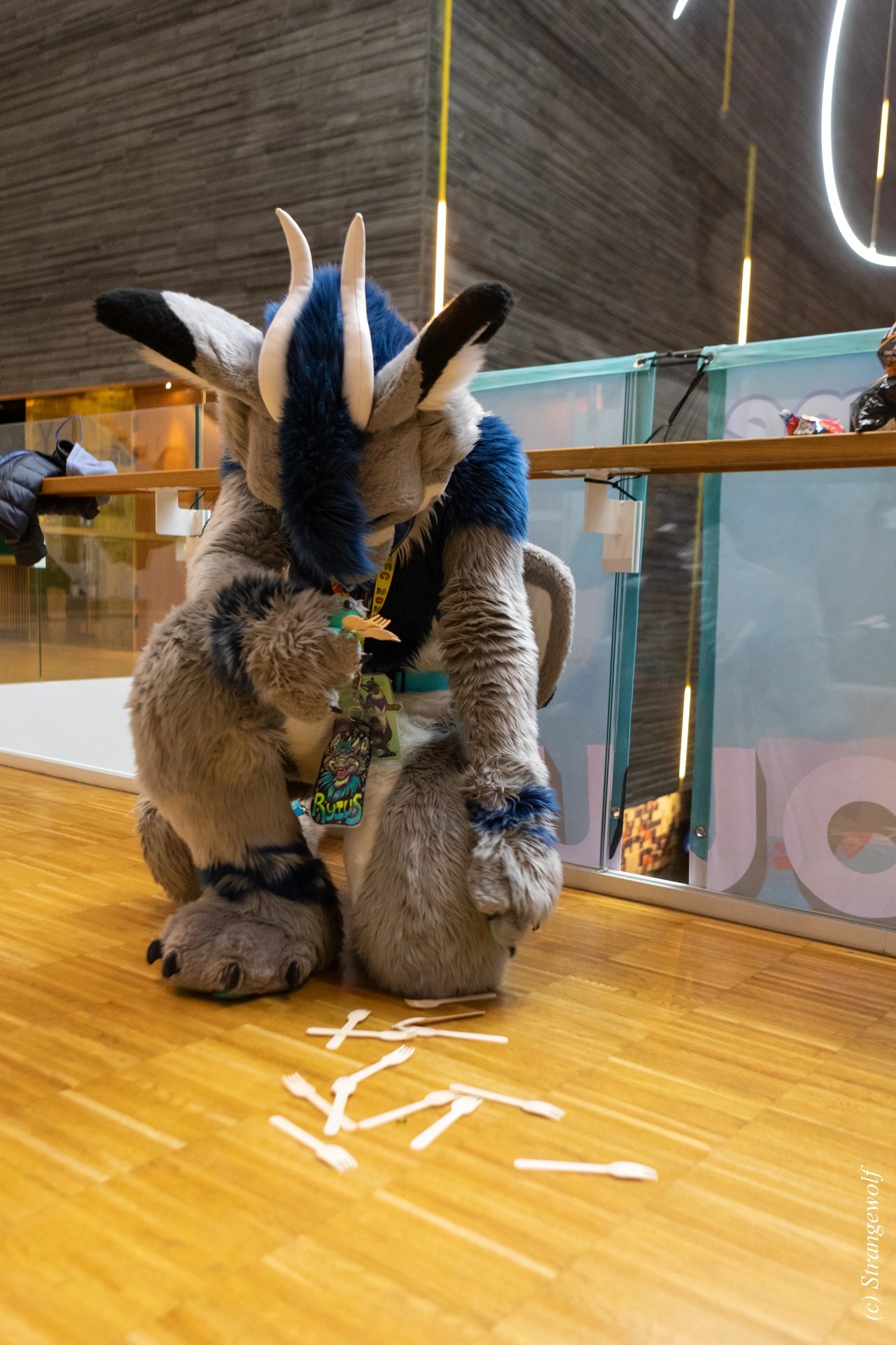 full image 1R3A9410-lr19t.jpg