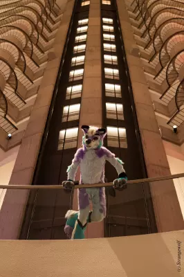 IMG_2100-lr19t.jpg of FWA/FWA2019/