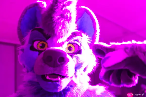 IMG_3289-lr19t.jpg of BLFC/2019/