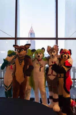 IMG_2935-lr16t.jpg of FWA/FWA2017/