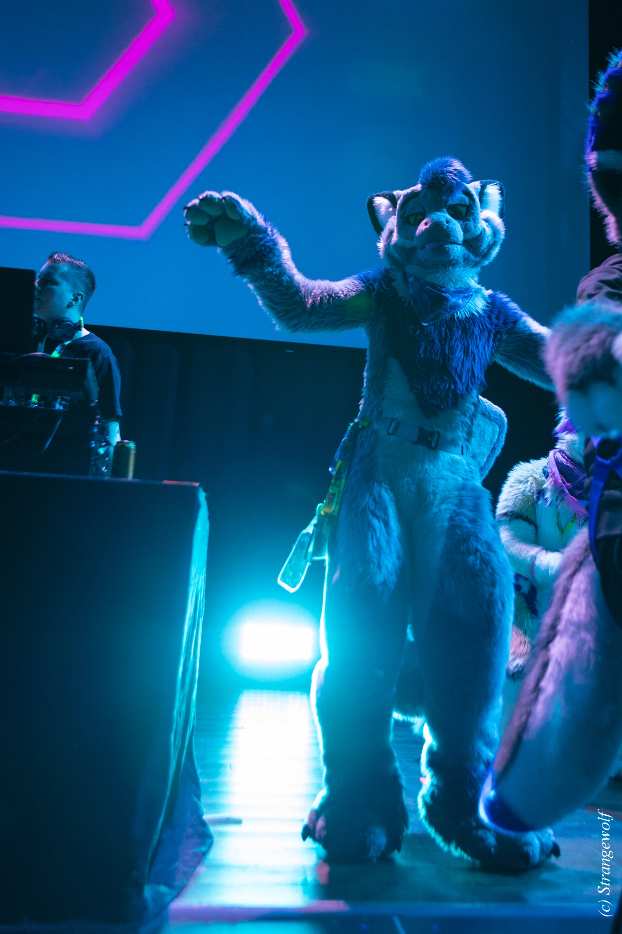 full image 1R3A9491-lr19t.jpg