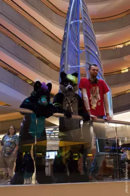 IMG_7624-lr16t.jpg of FWA/FWA2015/