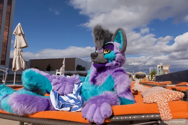 IMG_2961-lr19t.jpg of BLFC/2019/