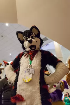 IMG_7459-lr16t.jpg of FWA/FWA2015/