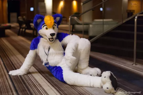 IMG_5995-lr16t.jpg of FWA/FWA2016/