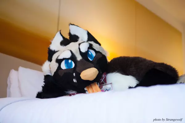 IMG_6061-lr.jpg of FWA/FWA2016/Photoshoot-Yuki/