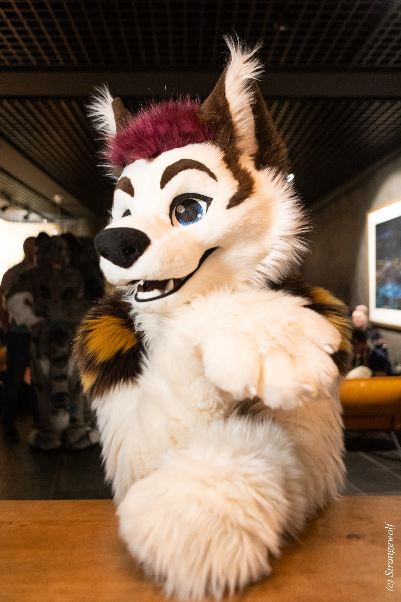 full image 1R3A9083-lr19t.jpg