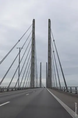 1R3A0171-lr19t.jpg of NFC/NFC2023/