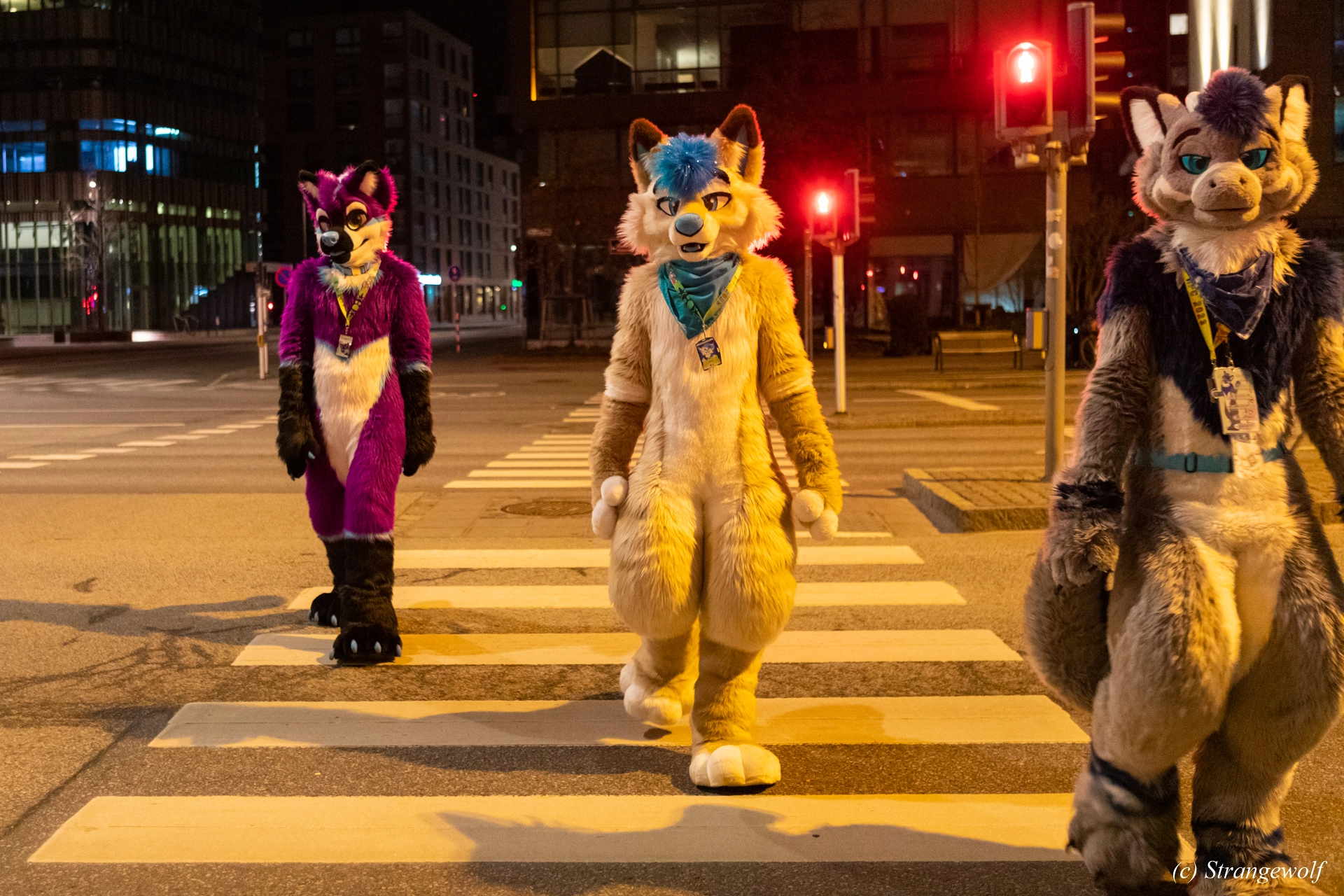 full image 1R3A9281-lr19t.jpg