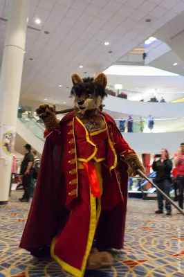 IMG_7386-lr16t.jpg of FWA/FWA2015/