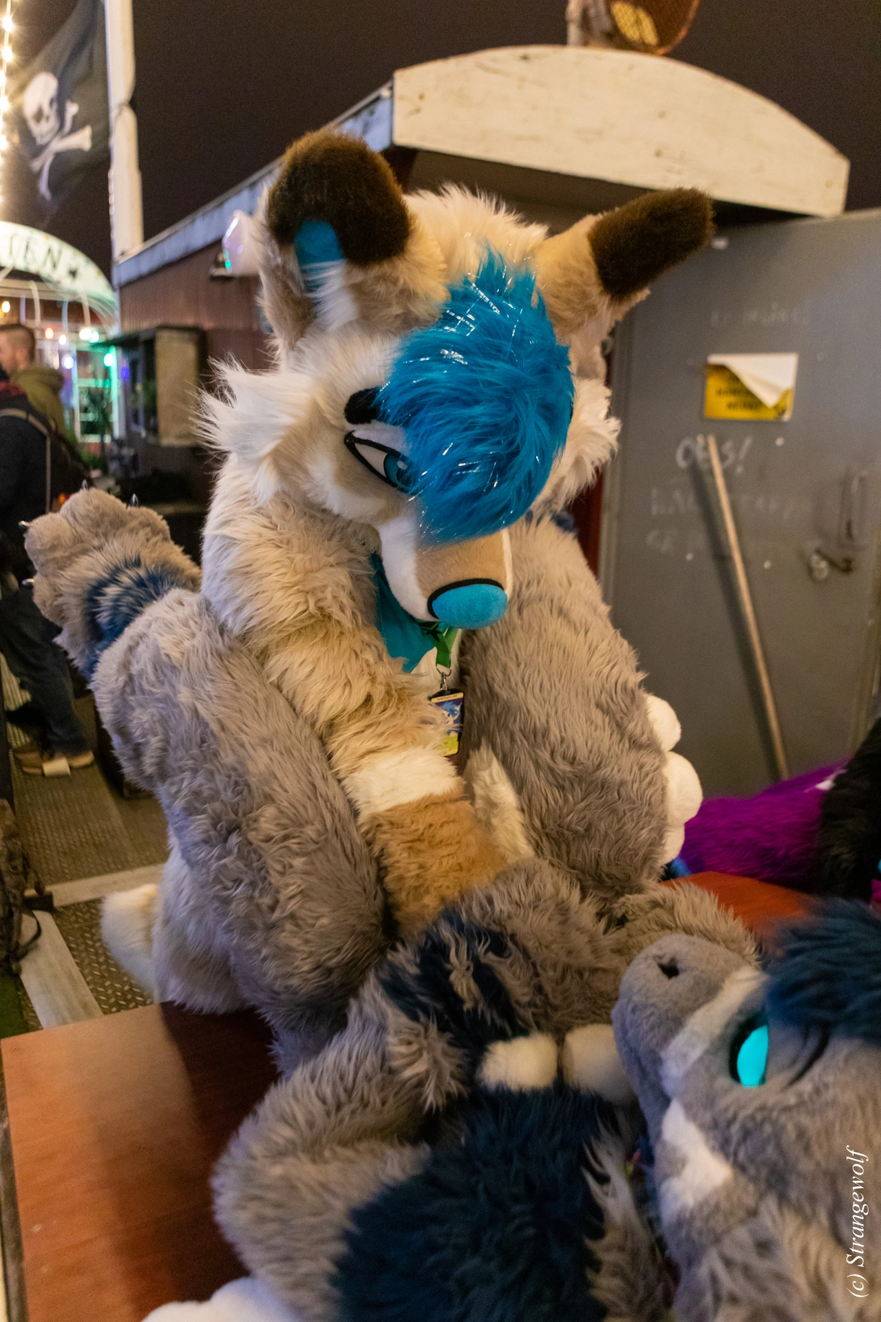 full image 1R3A9226-lr19t.jpg