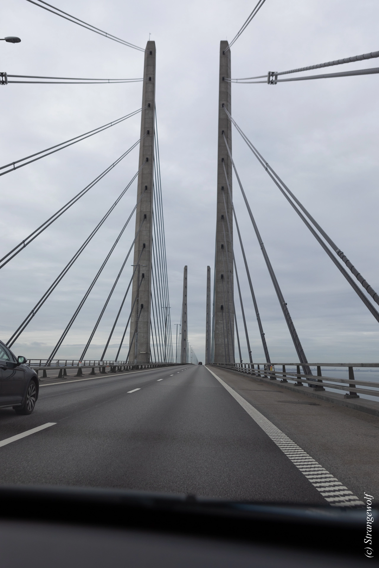 full image 1R3A0174-lr19t.jpg