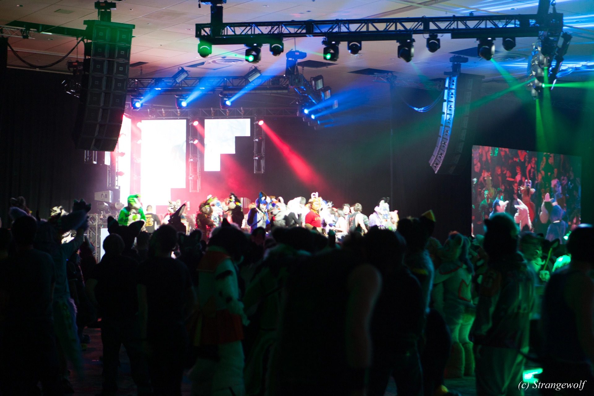 full image IMG_3486-lr19t.jpg