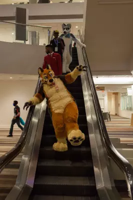 IMG_2421-lr19t.jpg of FWA/FWA2019/