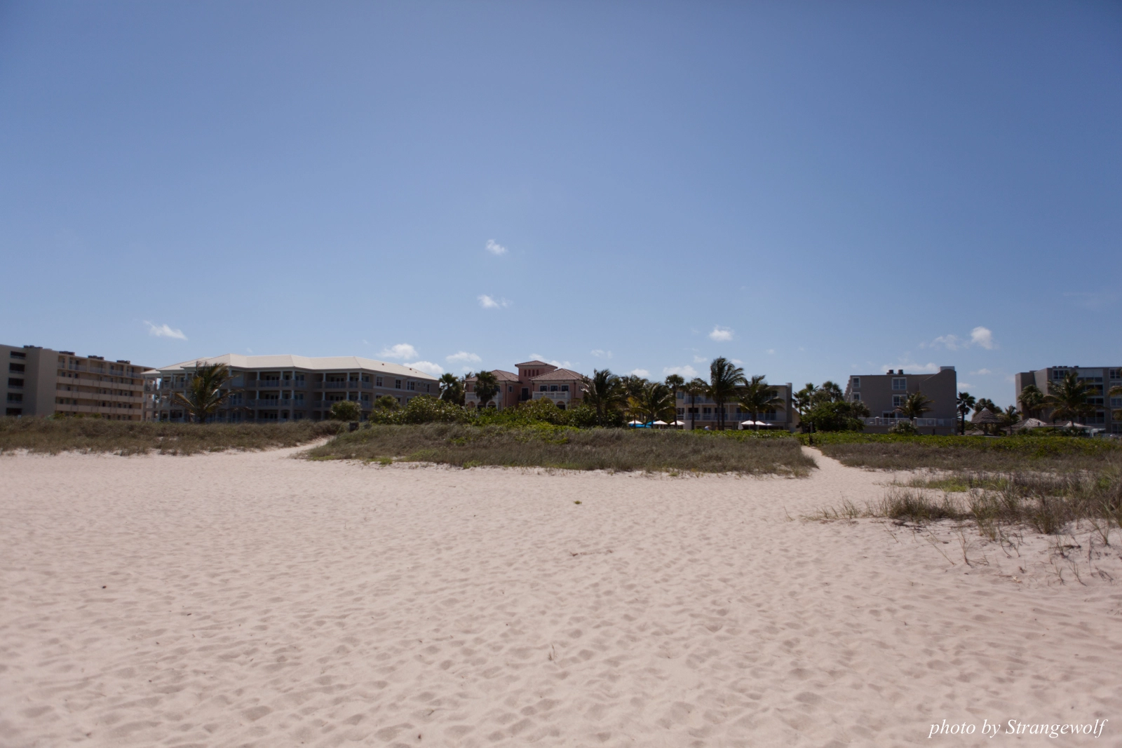 full image IMG_7345-lr16t.jpg