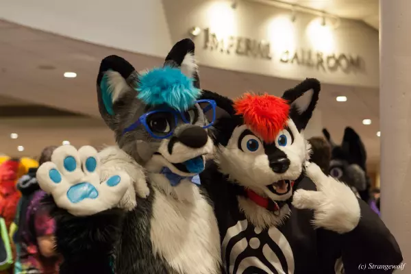 IMG_2036-lr19t.jpg of FWA/FWA2019/