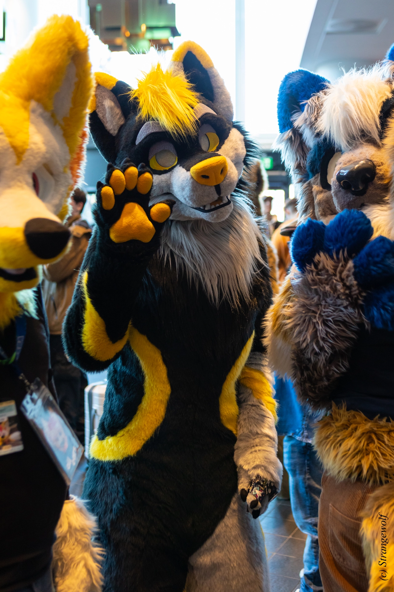 full image 1R3A9828-lr19t.jpg