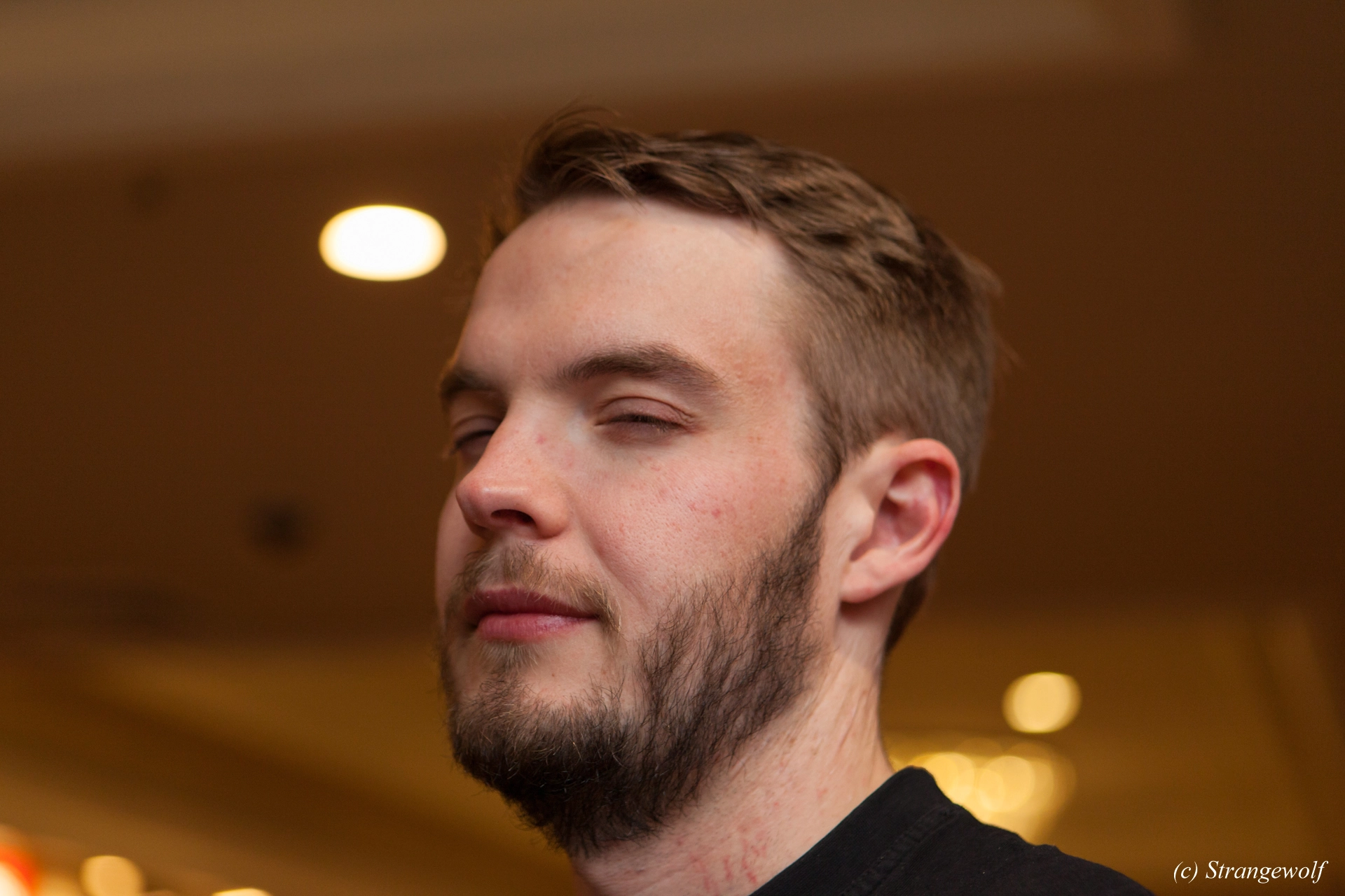full image IMG_3733-lr19t.jpg