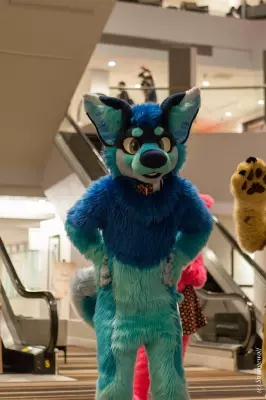 IMG_1814-lr19t.jpg of FWA/FWA2019/