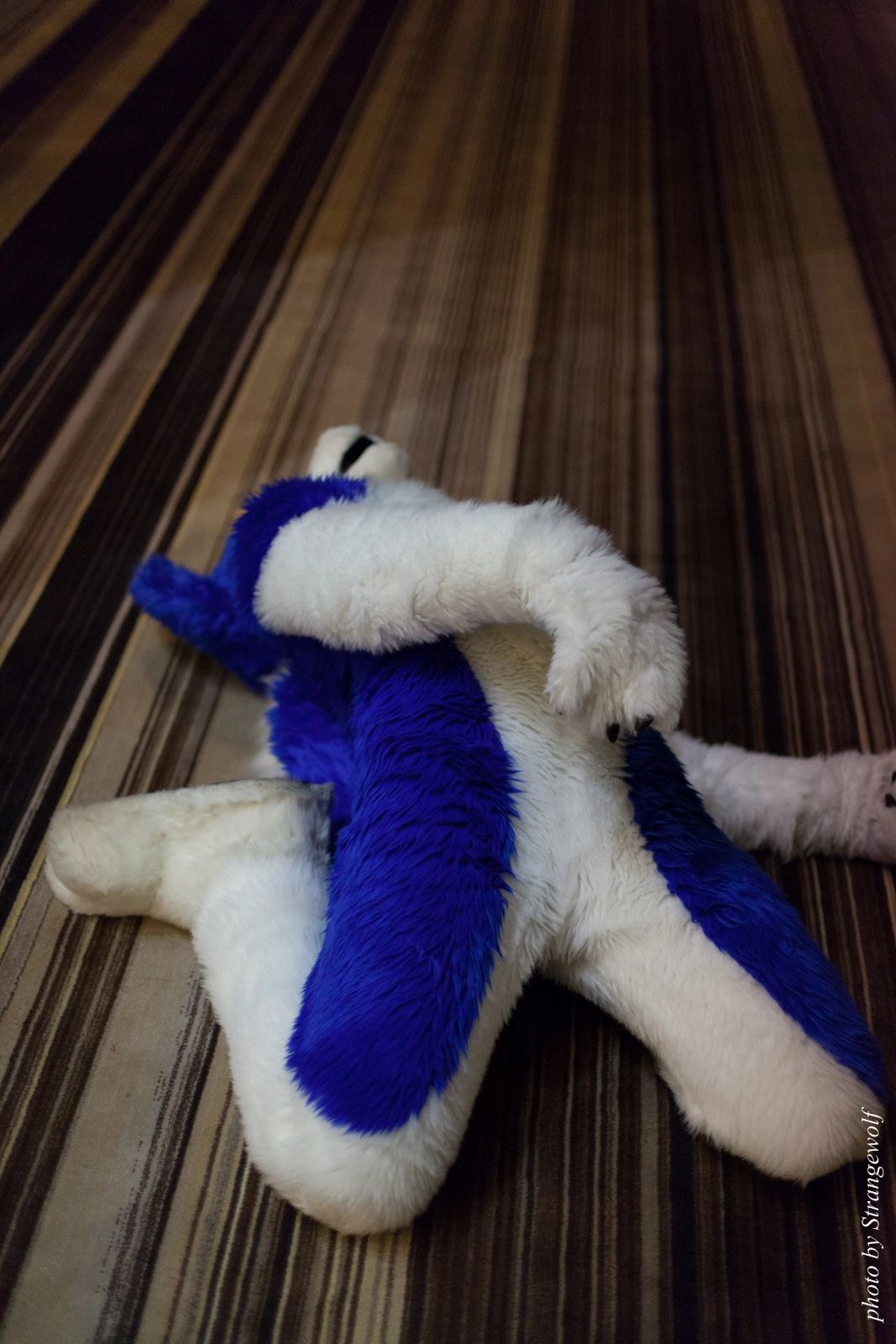 full image IMG_5990-lr16t.jpg