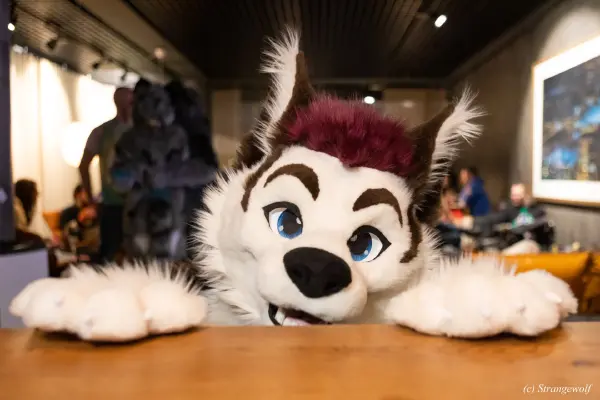 1R3A9091-lr19t.jpg of NFC/NFC2023/