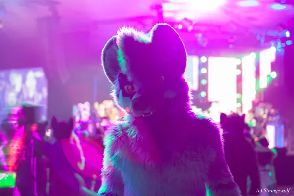 IMG_3448-lr19t.jpg of BLFC/2019/