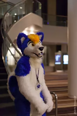 IMG_5989-lr16t.jpg of FWA/FWA2016/