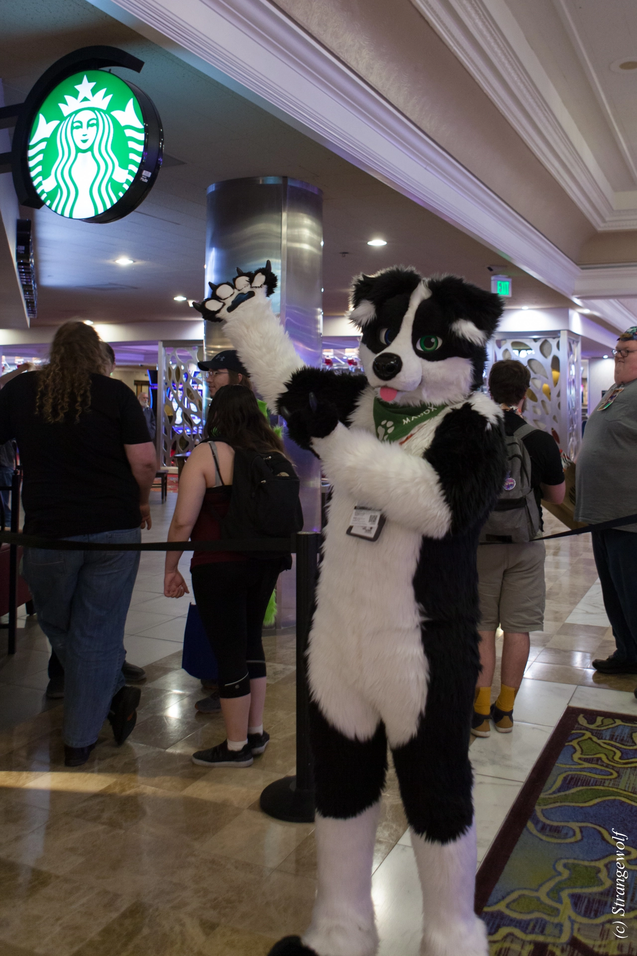 full image IMG_3755-lr19t.jpg