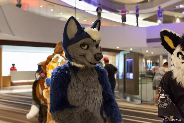 IMG_1682-lr19t.jpg of FWA/FWA2019/