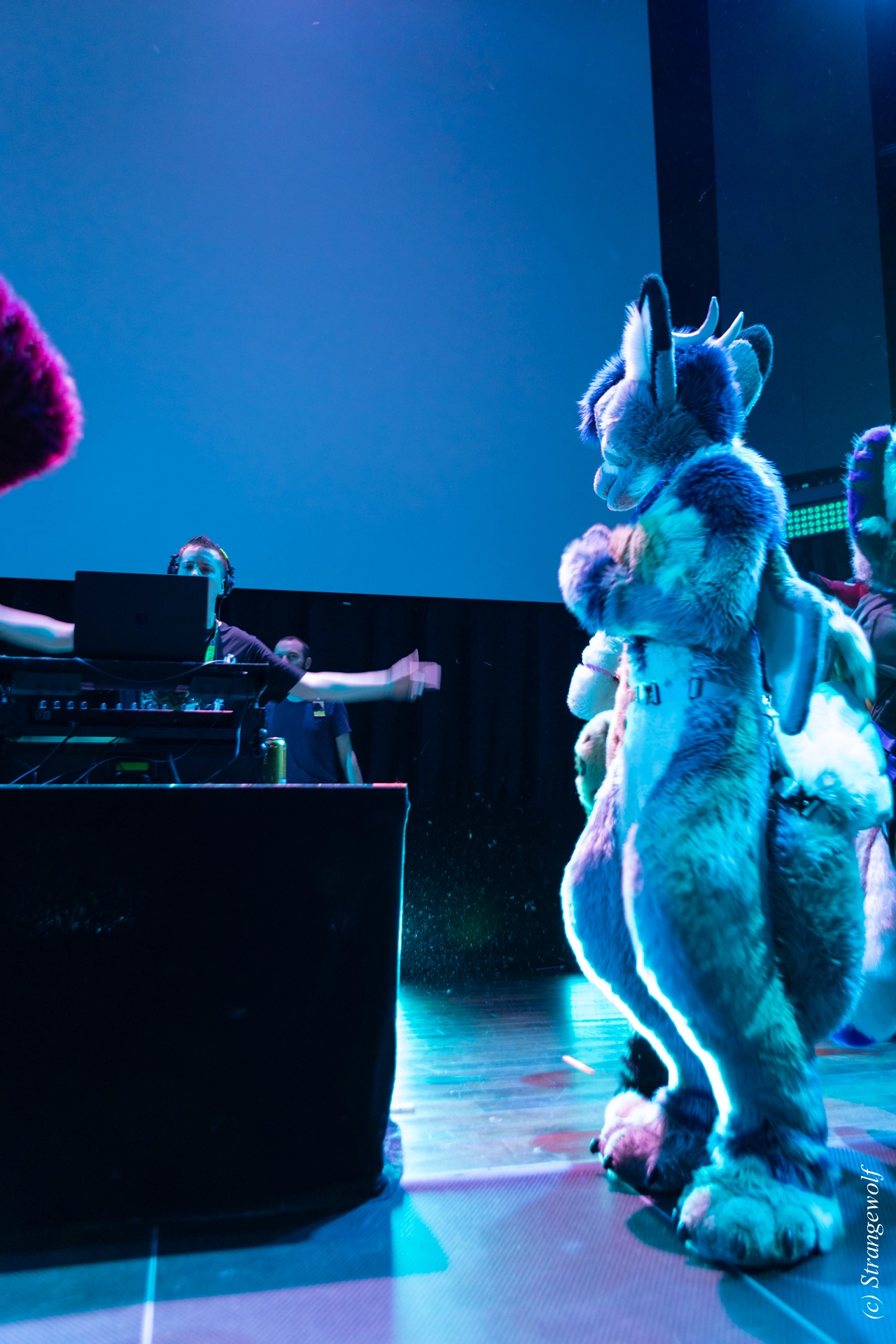 full image 1R3A9497-lr19t.jpg