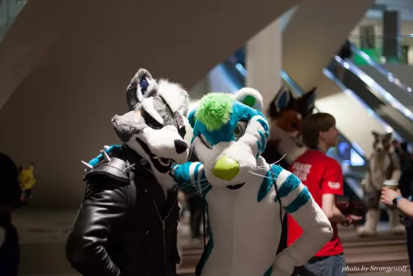 IMG_2748-lr16t.jpg of FWA/FWA2017/
