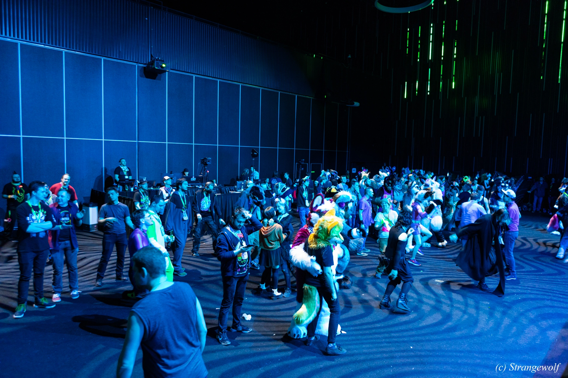 full image 1R3A9653-lr19t.jpg