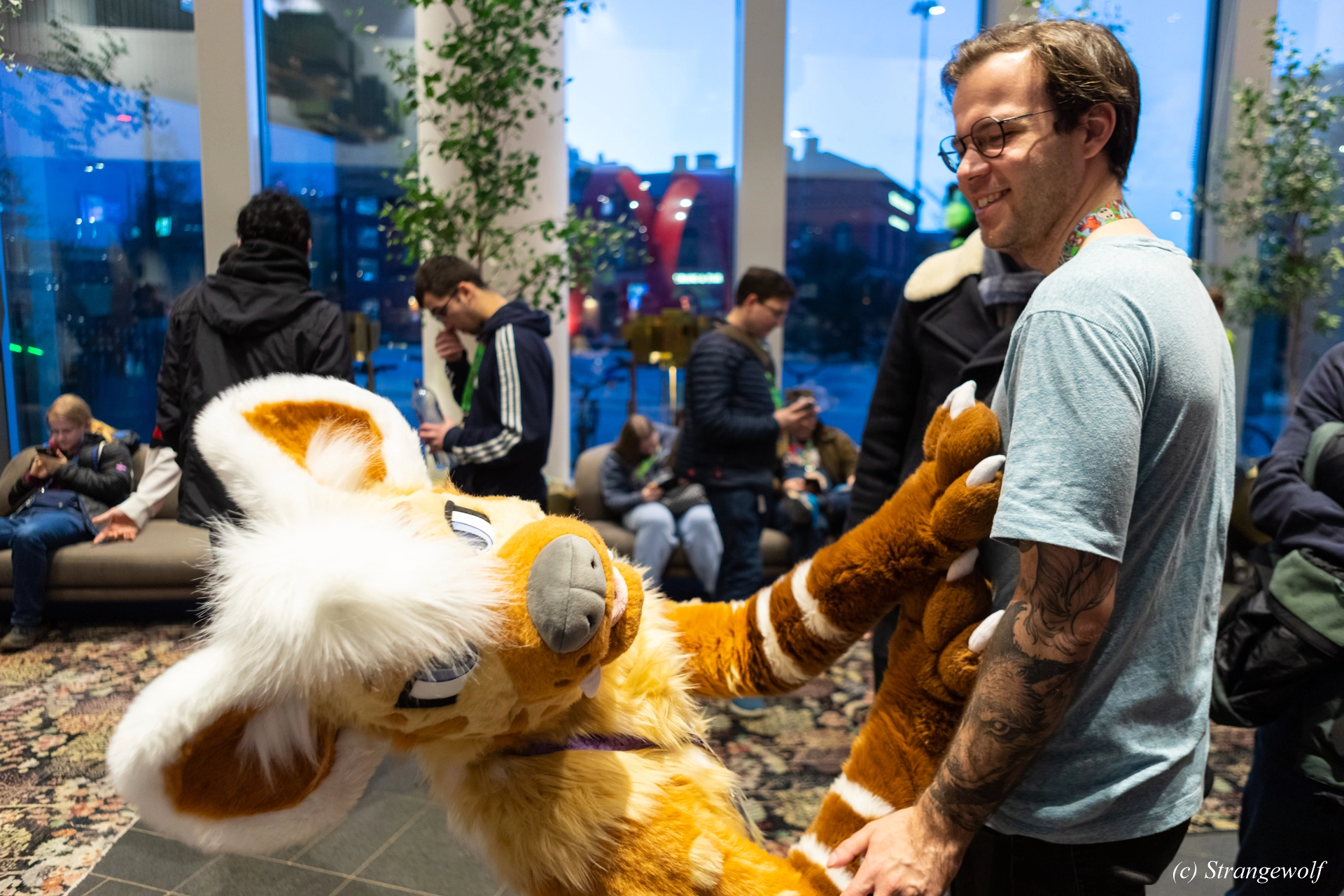 full image 1R3A9884-lr19t.jpg