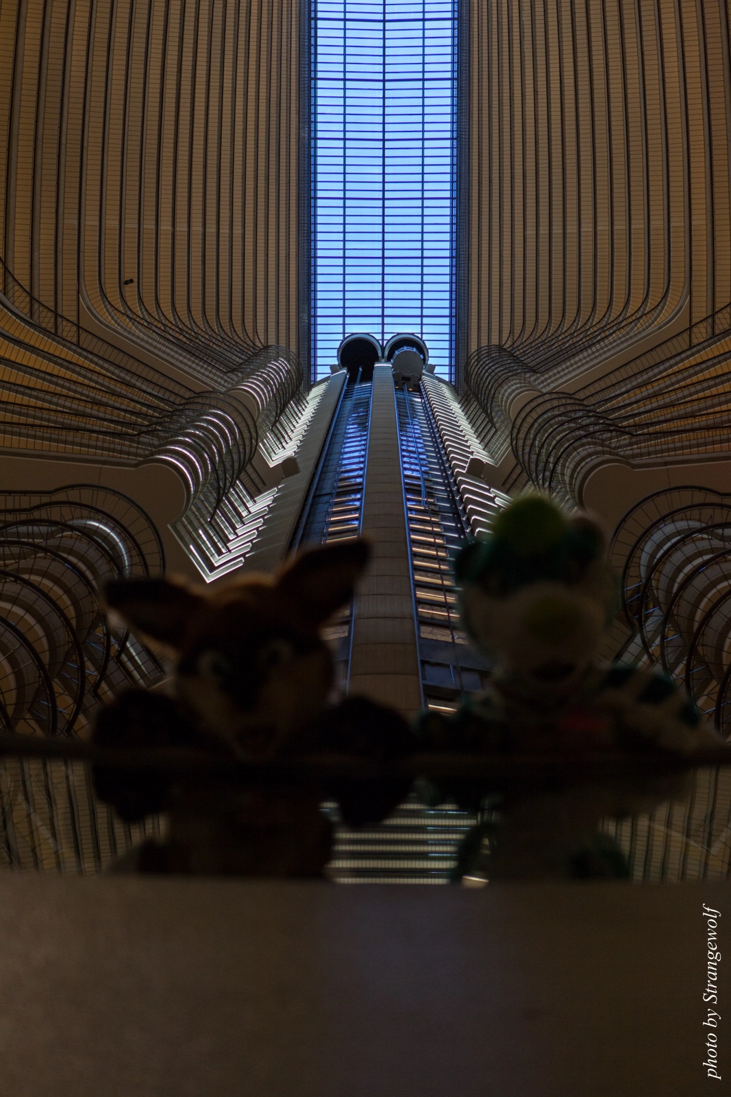 full image IMG_2919-lr16t.jpg