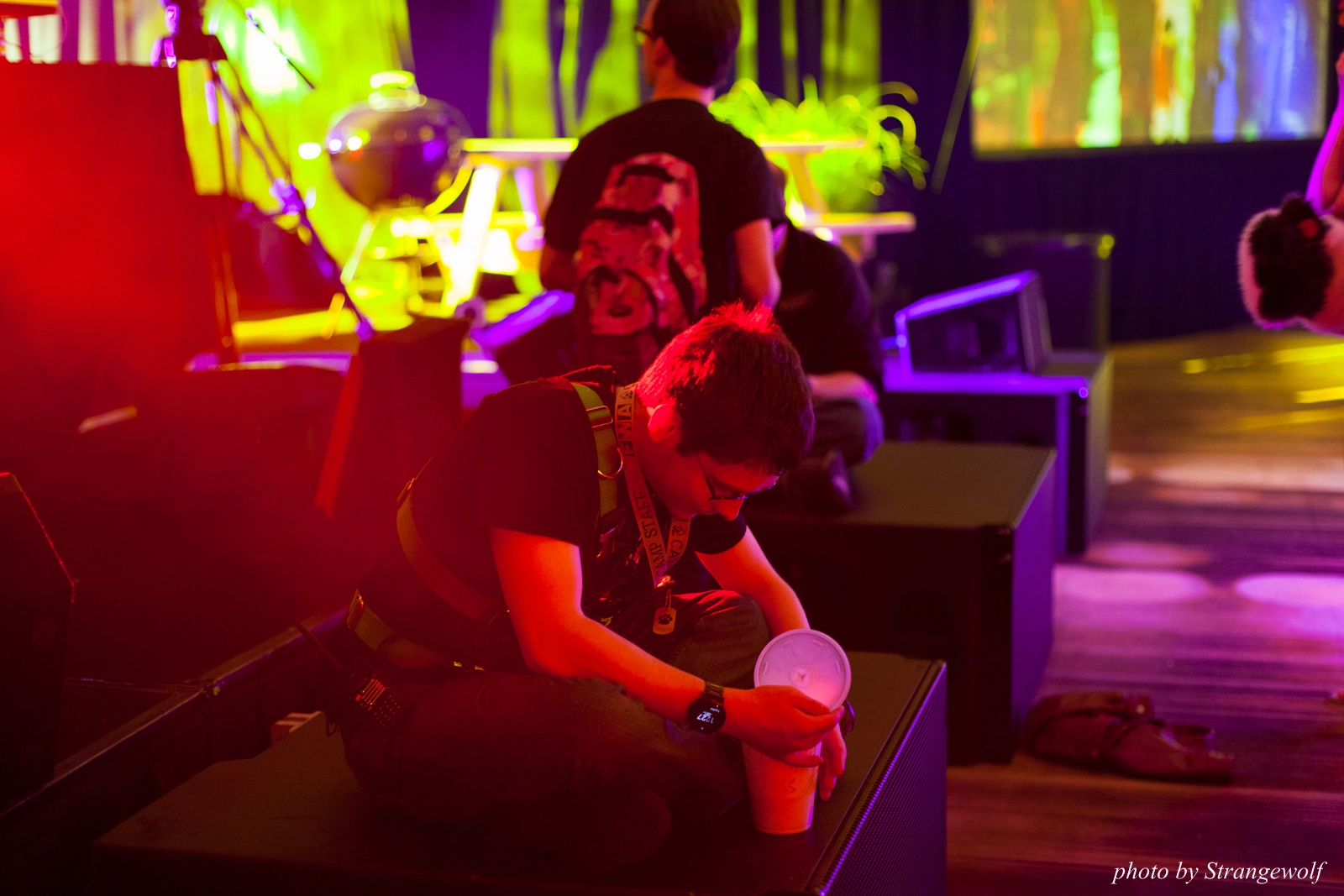 full image IMG_6287-lr16t.jpg