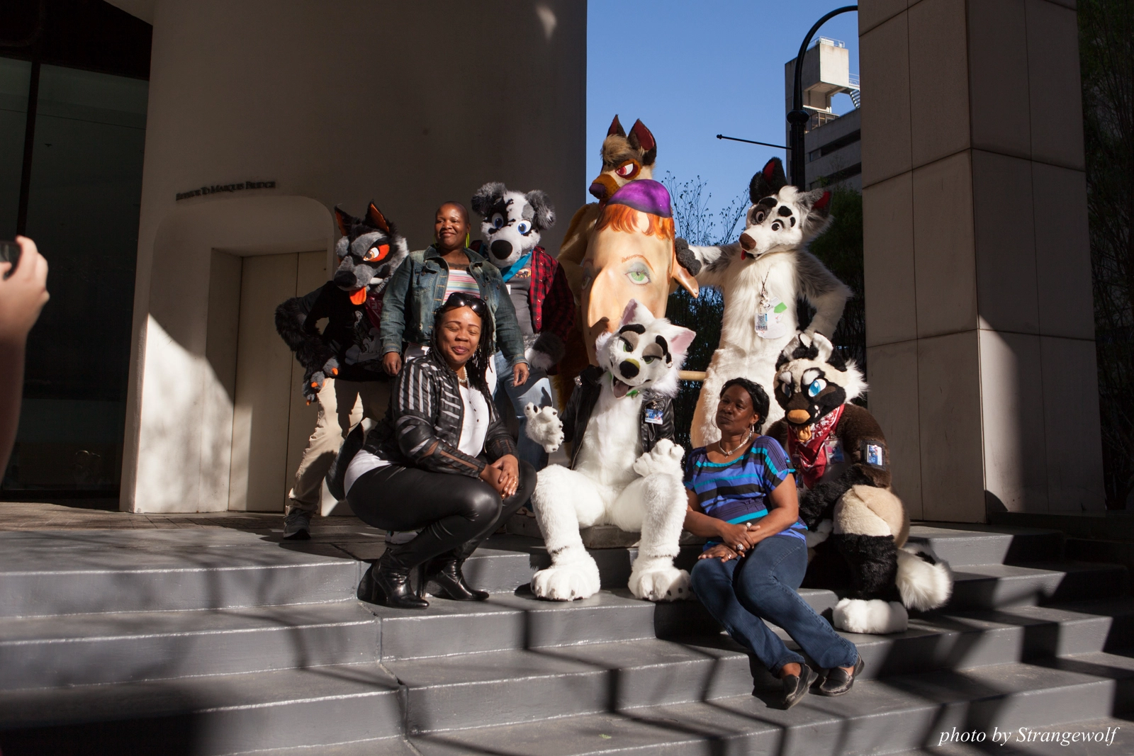 full image IMG_6175-lr16t.jpg
