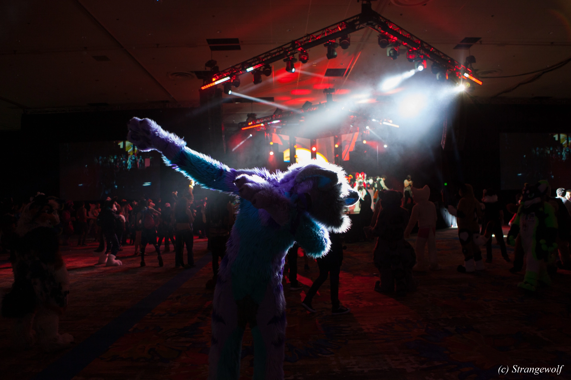 full image IMG_3611-lr19t.jpg