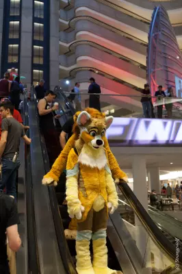 IMG_2015-lr.jpg of FWA/FWA2019/