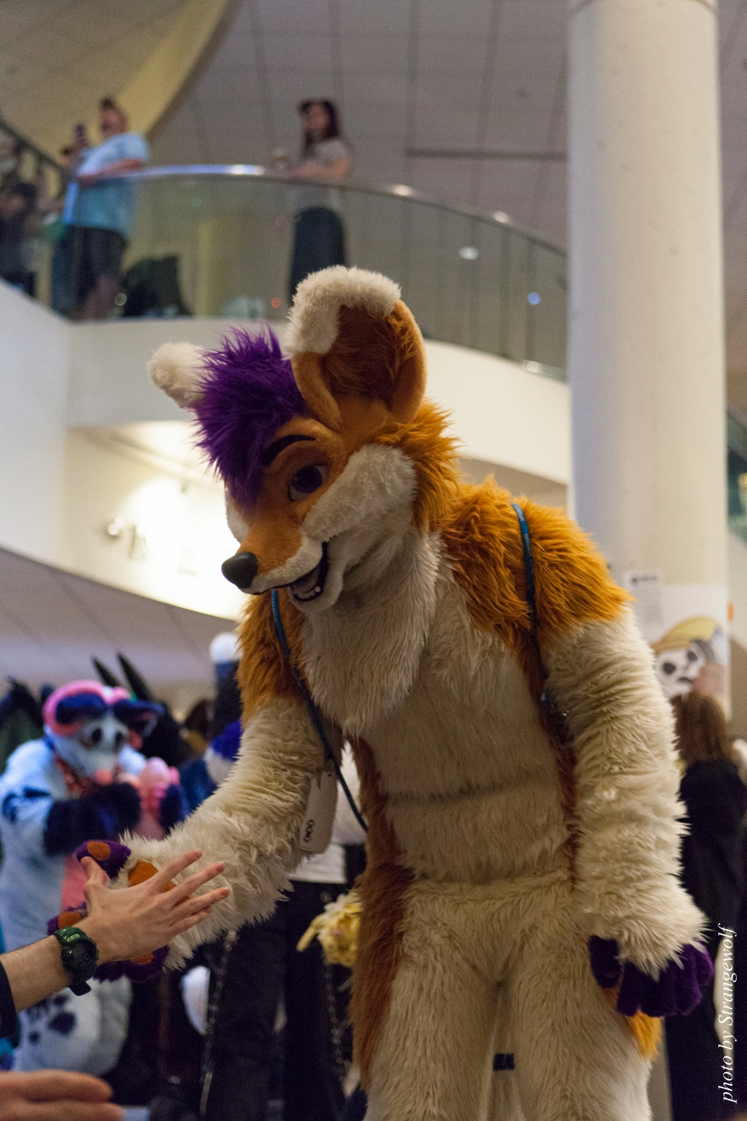 full image IMG_7410-lr16t.jpg
