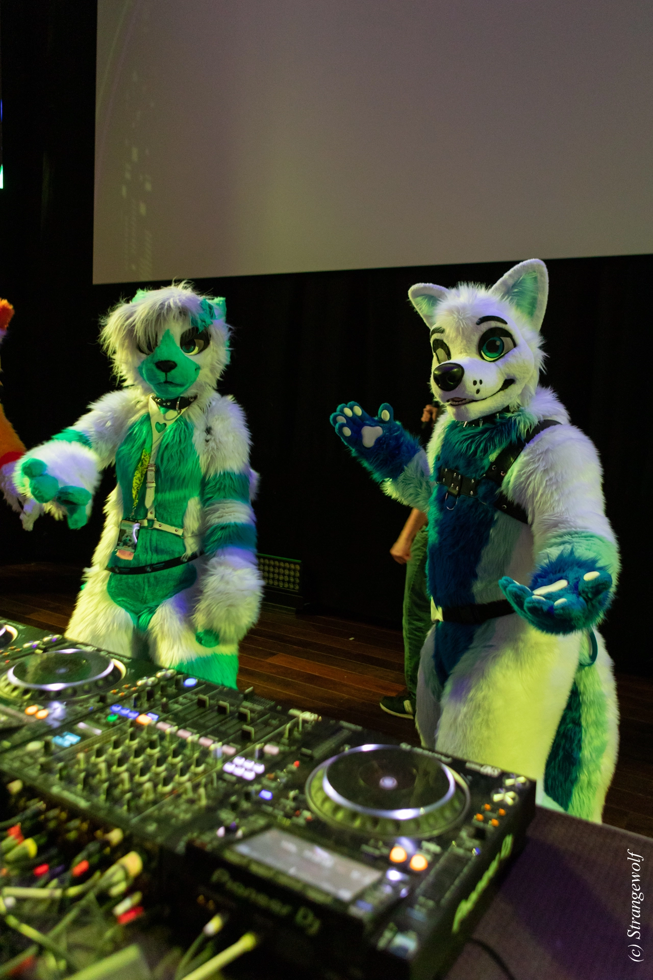 full image 1R3A9564-lr19t.jpg