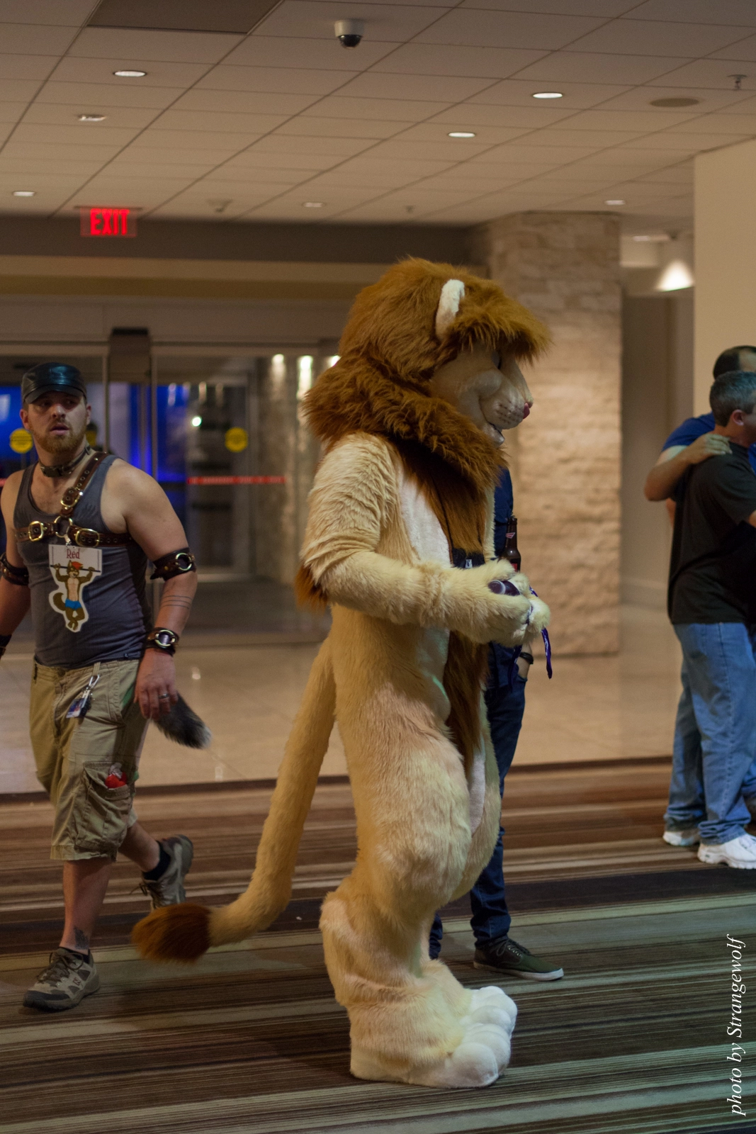 full image IMG_5716-lr16t.jpg