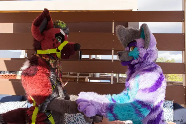 IMG_3103-lr19t.jpg of BLFC/2019/