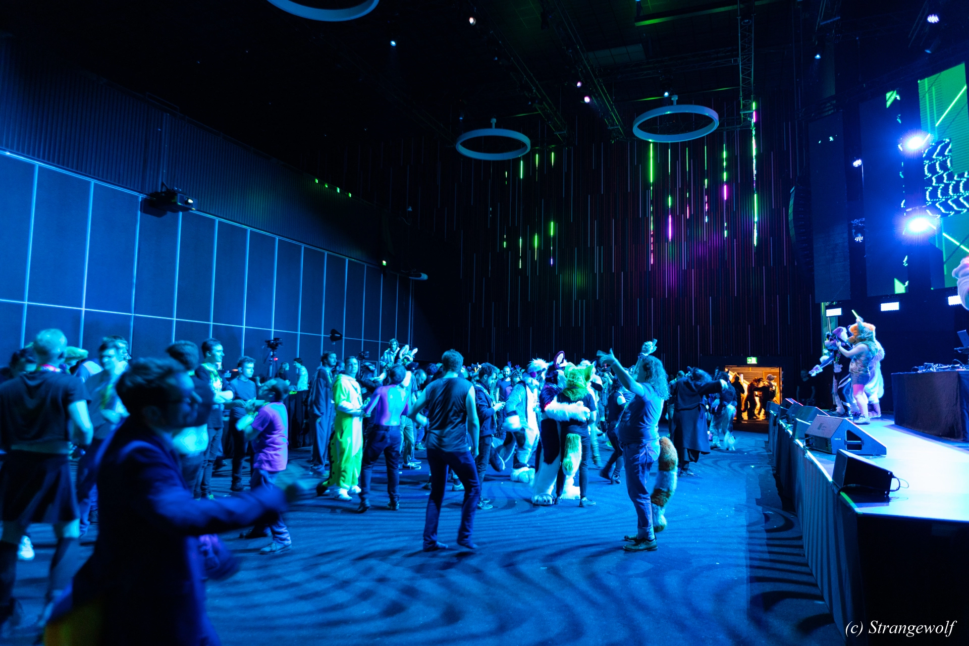 full image 1R3A9651-lr19t.jpg