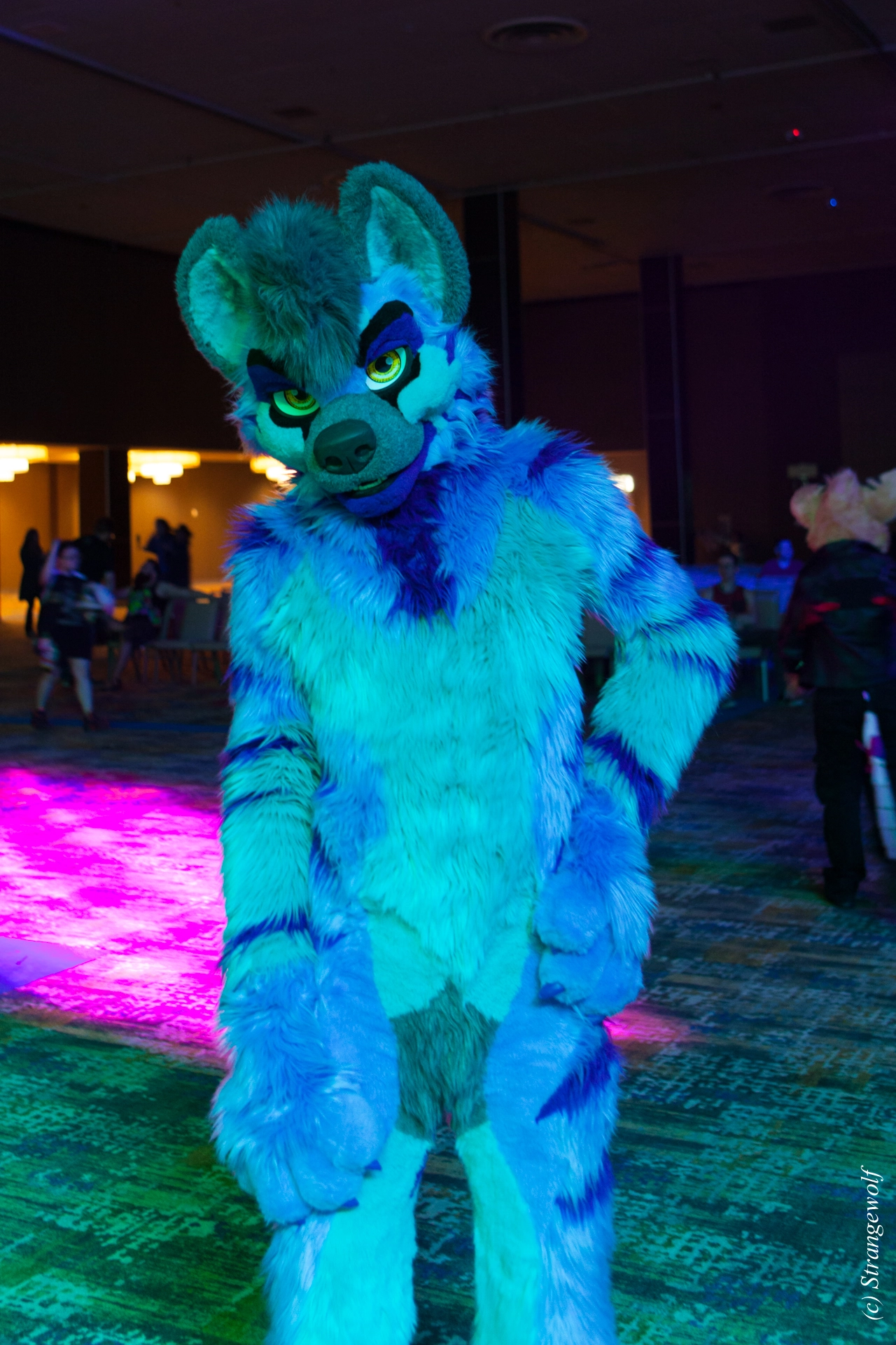 full image IMG_3469-lr19t.jpg