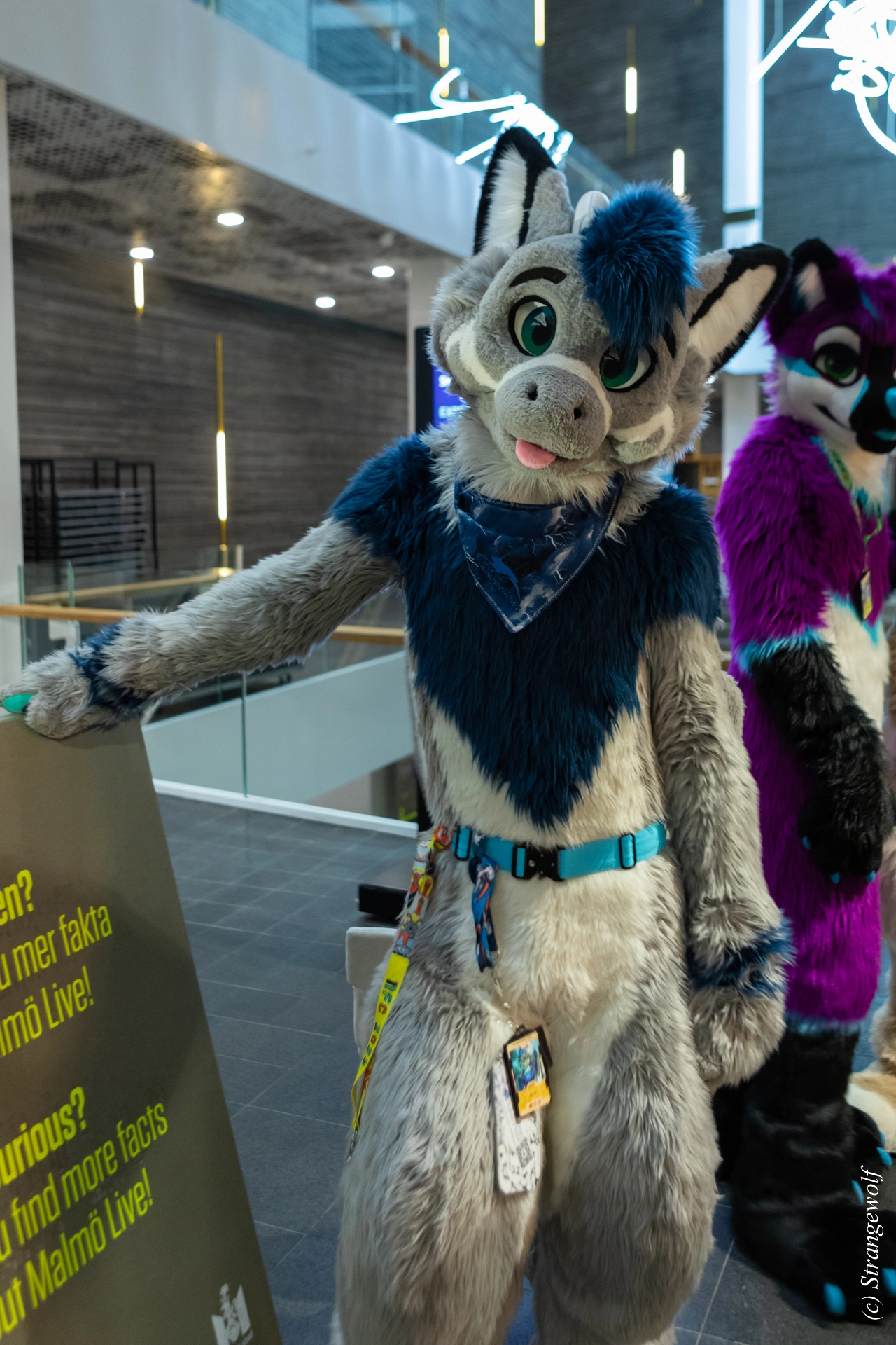 full image 1R3A0142-lr19t.jpg